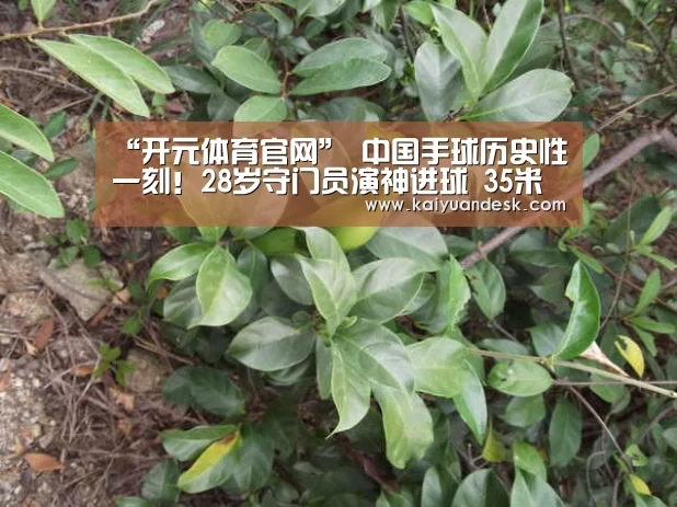 开元体育入口