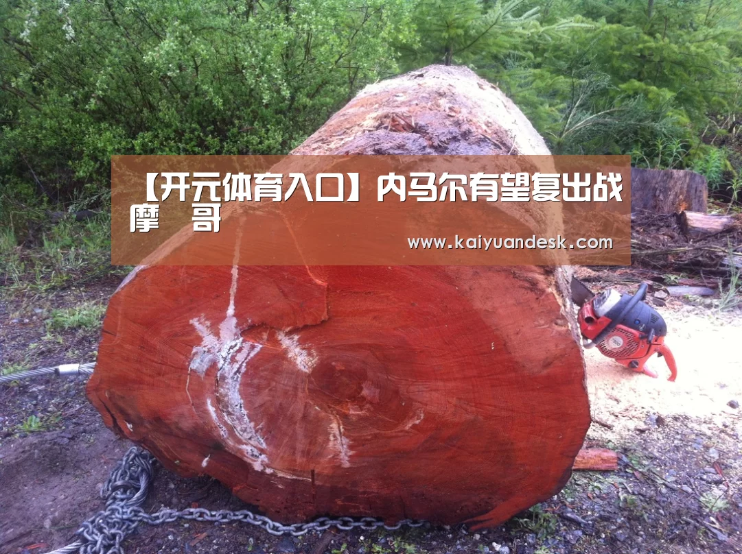 开元体育官网